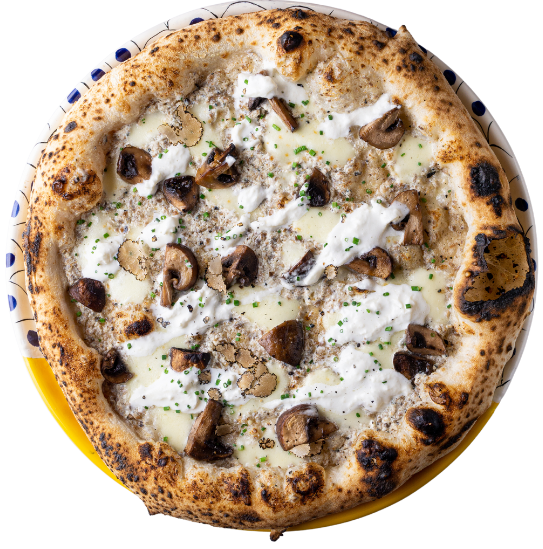 Pizza Burrata tartufo
